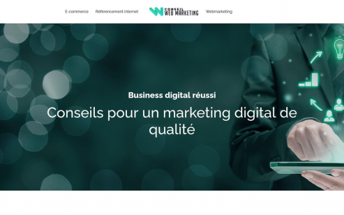 https://www.conseil-webmarketing.com